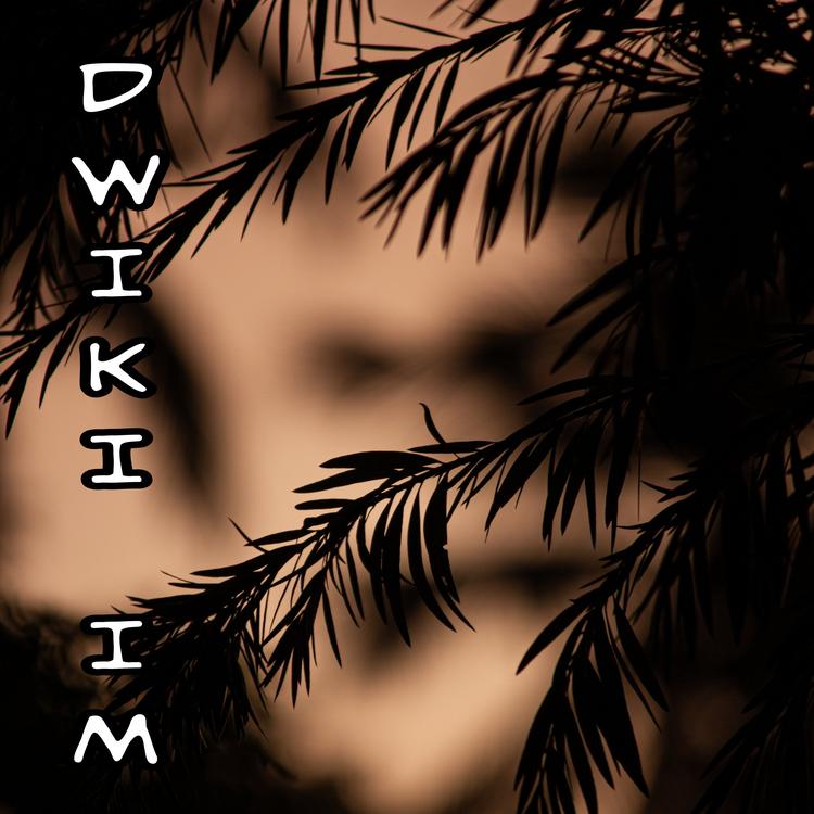 Dwiki iM's avatar image