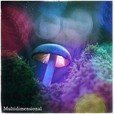 Multidimensional's cover