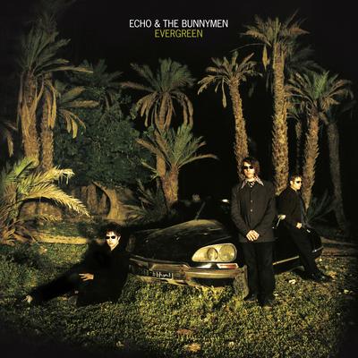 Evergreen (25 Year Anniversary Edition)'s cover