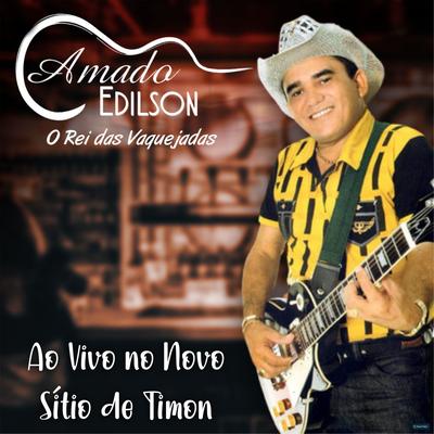 Amar Seus Defeitos (Ao Vivo) By Amado Edilson's cover