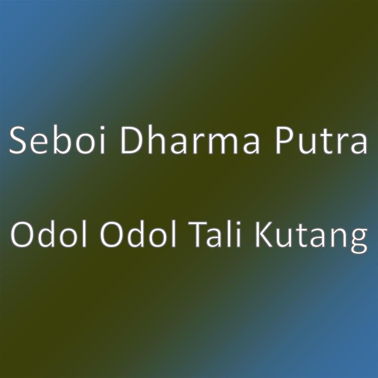 Seboi Dharma Putra's avatar image