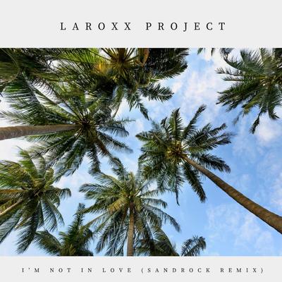 I'm Not In Love (SandRock Remix) By LaRoxx Project's cover