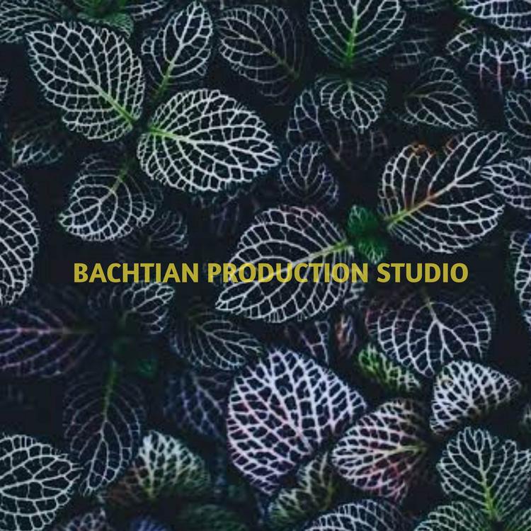 Bachtian Production Studio's avatar image