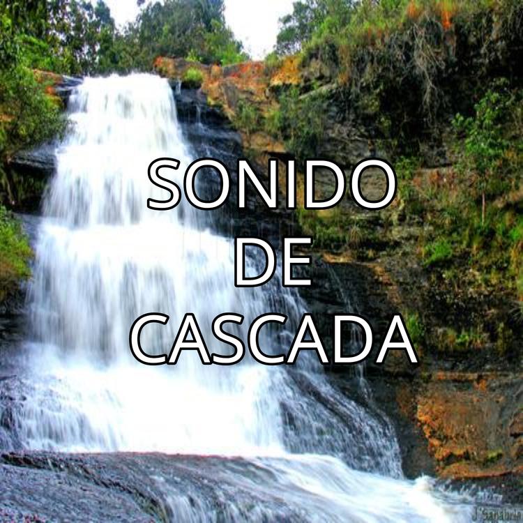 Sonido de cascada's avatar image