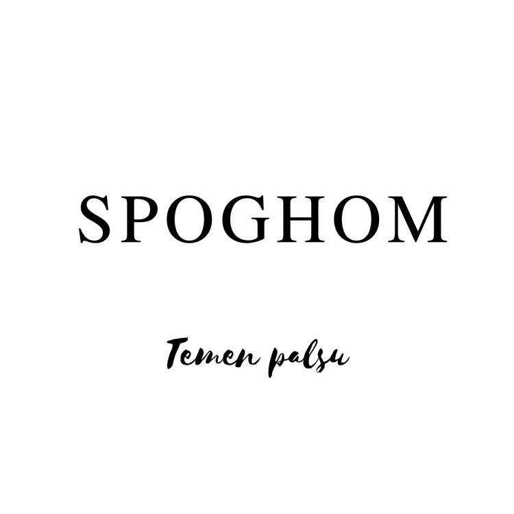 SPOGHOM's avatar image