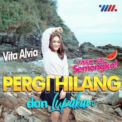Pergi Hilang & Lupakan (Remix Kentrung) By Vita Alvia's cover
