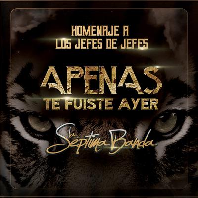 Apenas Te Fuiste Ayer By La Septima Banda's cover