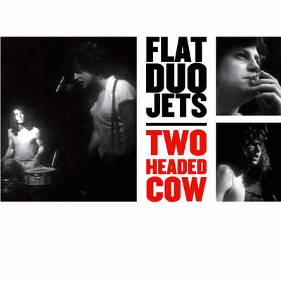 Frog Went a Courtin' By Flat Duo Jets's cover