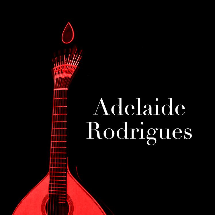 Adelaide Rodrigues's avatar image