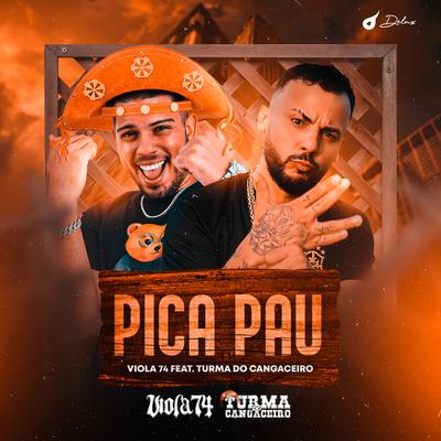 Pica Pau's cover