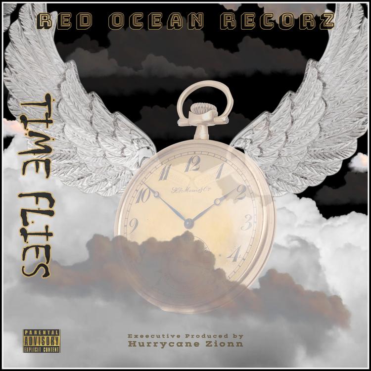 Red Ocean Recordz's avatar image