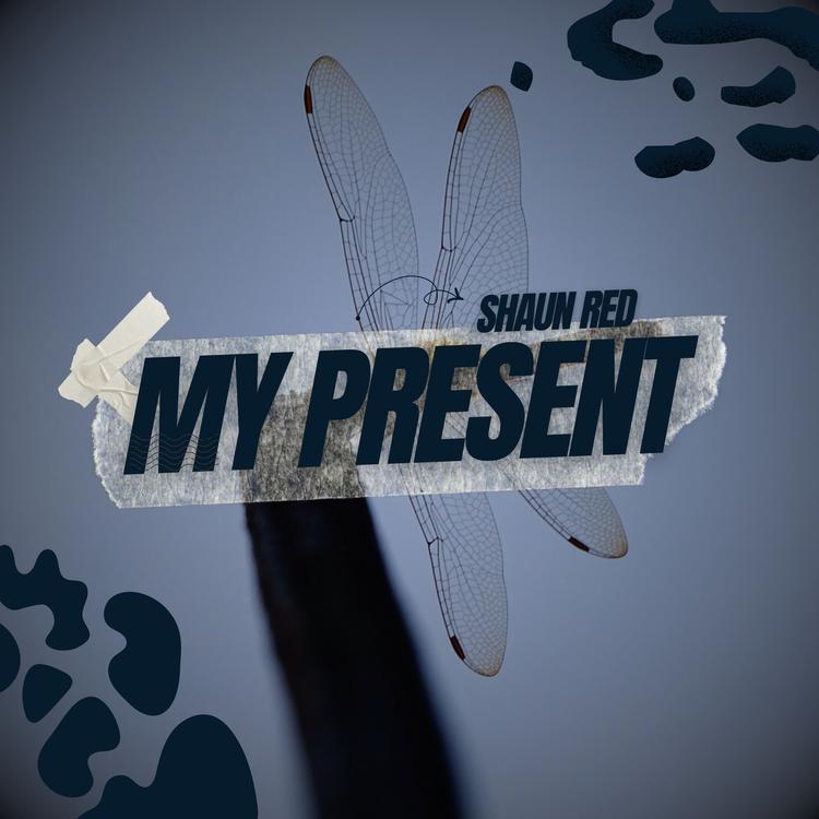 Shaun Red's avatar image