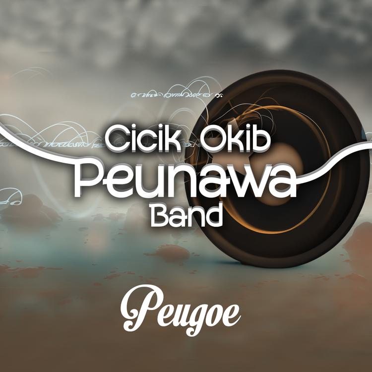 Peunawa Band's avatar image