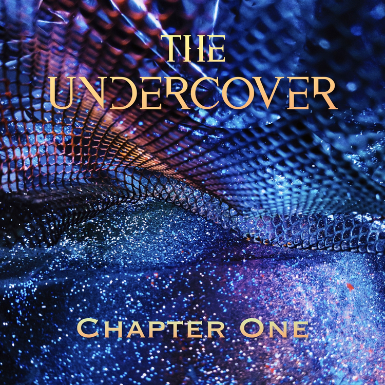 The Undercover's avatar image