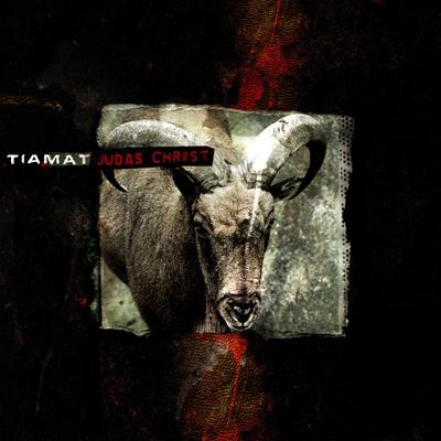 I Am in Love with Myself By Tiamat's cover