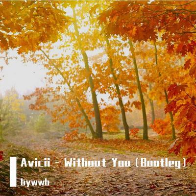 Avicii-Without You's cover