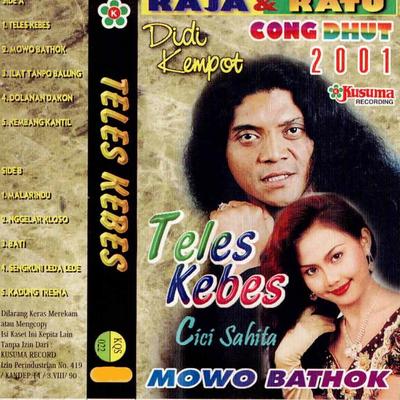 Campursari Didi Kempot Raja & Ratu Cong Dhut - Teles Kebes's cover