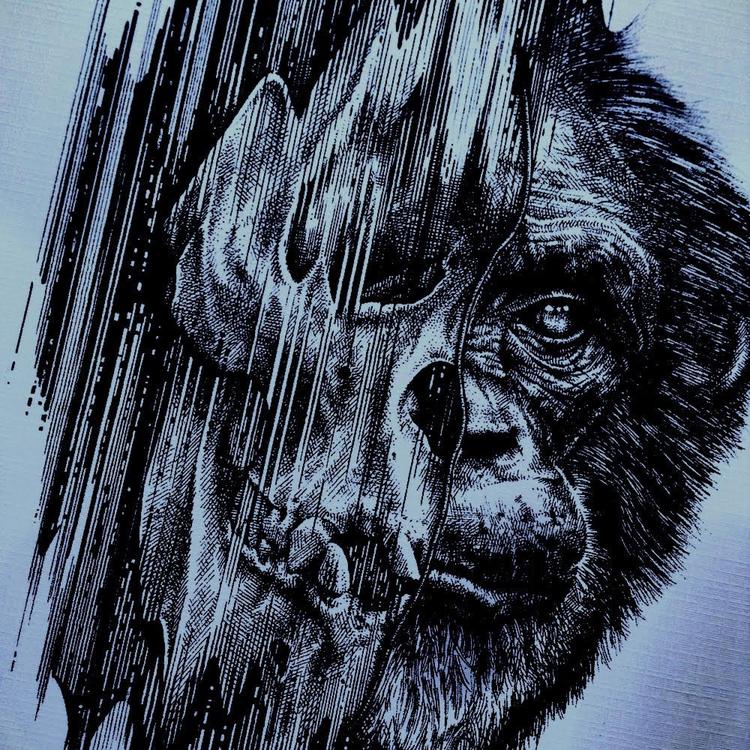 Monkeyn's avatar image