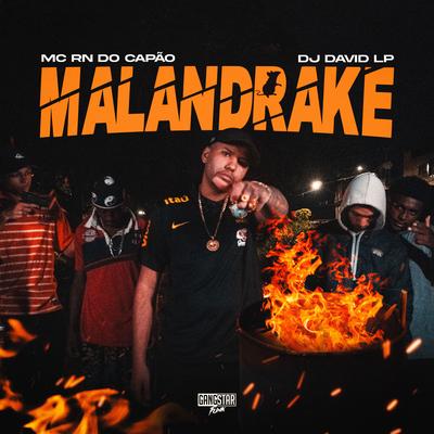 Malandrake By MC RN do Capão, DJ David LP's cover