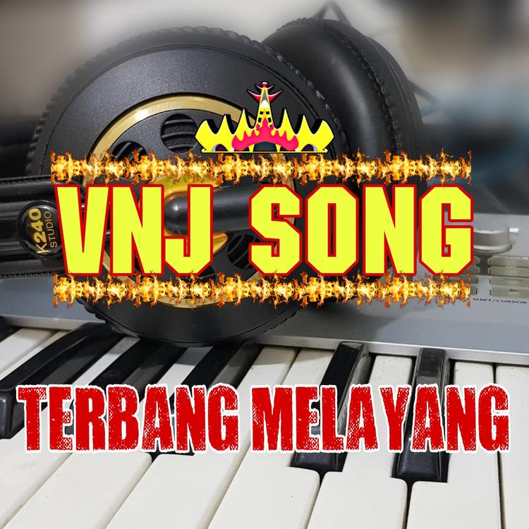 VNJ SONG's avatar image