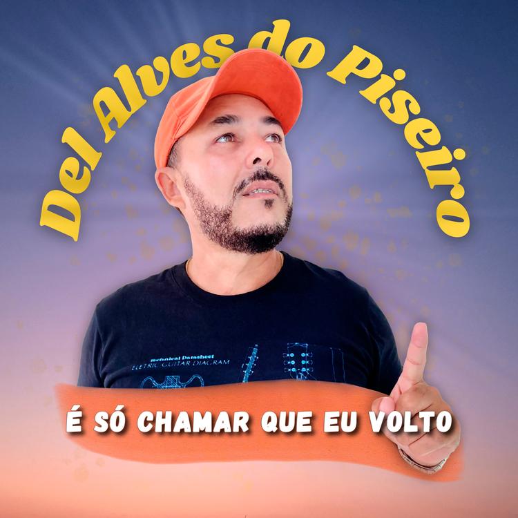 Del Alves do Piseiro's avatar image