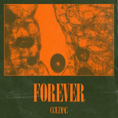 Forever's cover