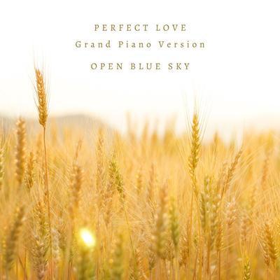 Perfect Love (Grand Piano Version) By Open Blue Sky's cover