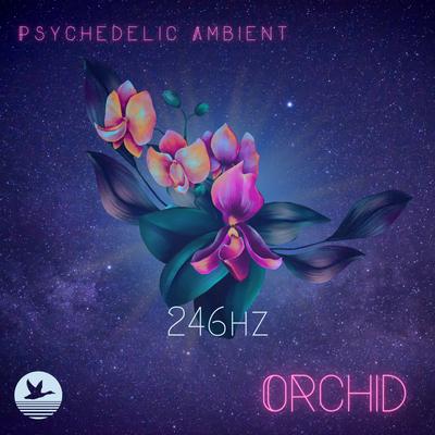 Psychedelic Ambient's cover