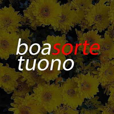 Boa Sorte By Tuono's cover