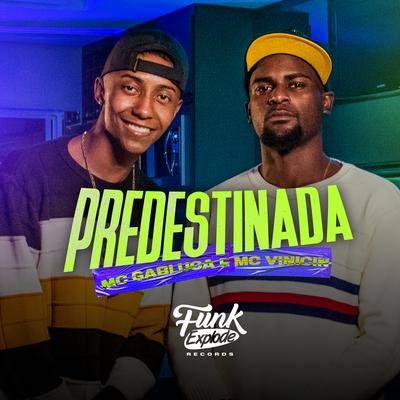 Predestinada By MC Gabluca, MC Vinicin's cover