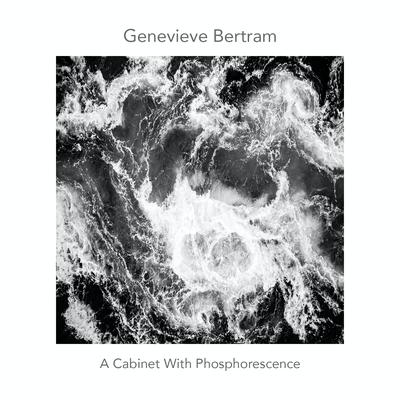 A Cabinet With Phosphorescence By Genevieve Bertram's cover