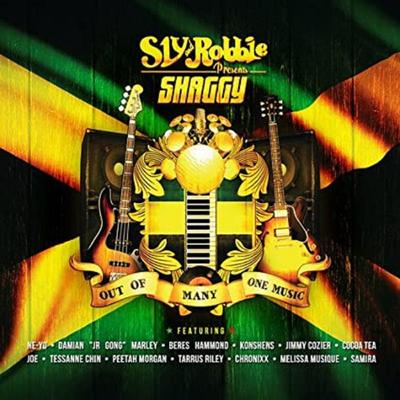 Crazy (feat. Damian & Chioma) By Damian Marley, Chioma, Shaggy's cover