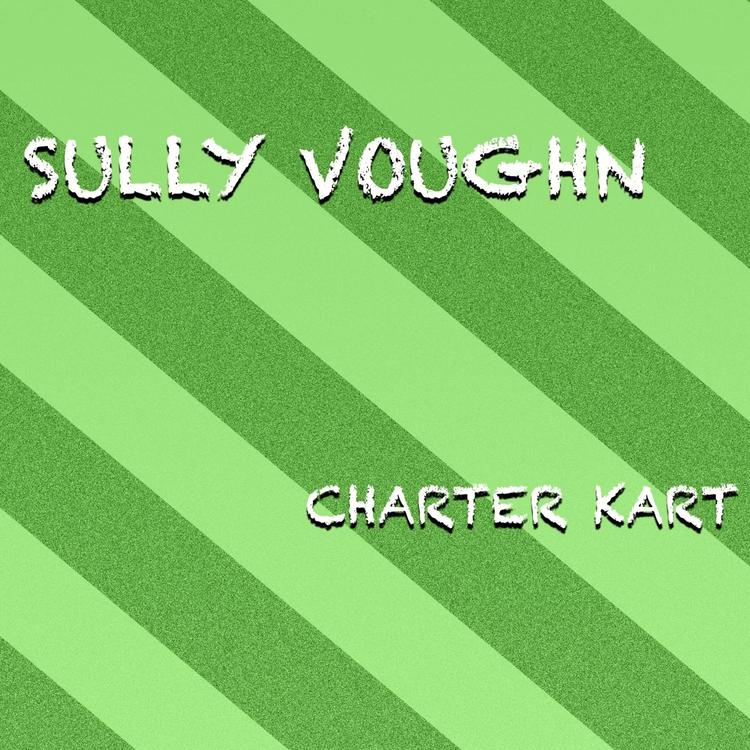 Sully Voughn's avatar image