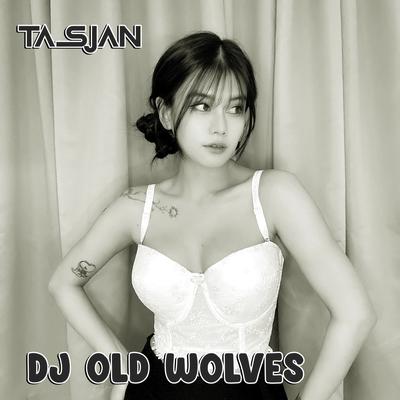 Dj Old Wolves's cover