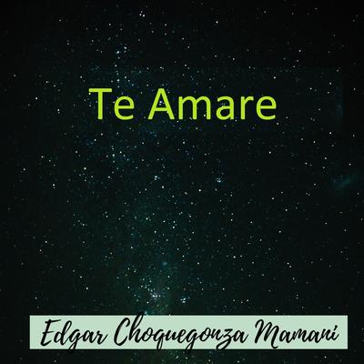 Edgar Choquegonza Mamani's cover