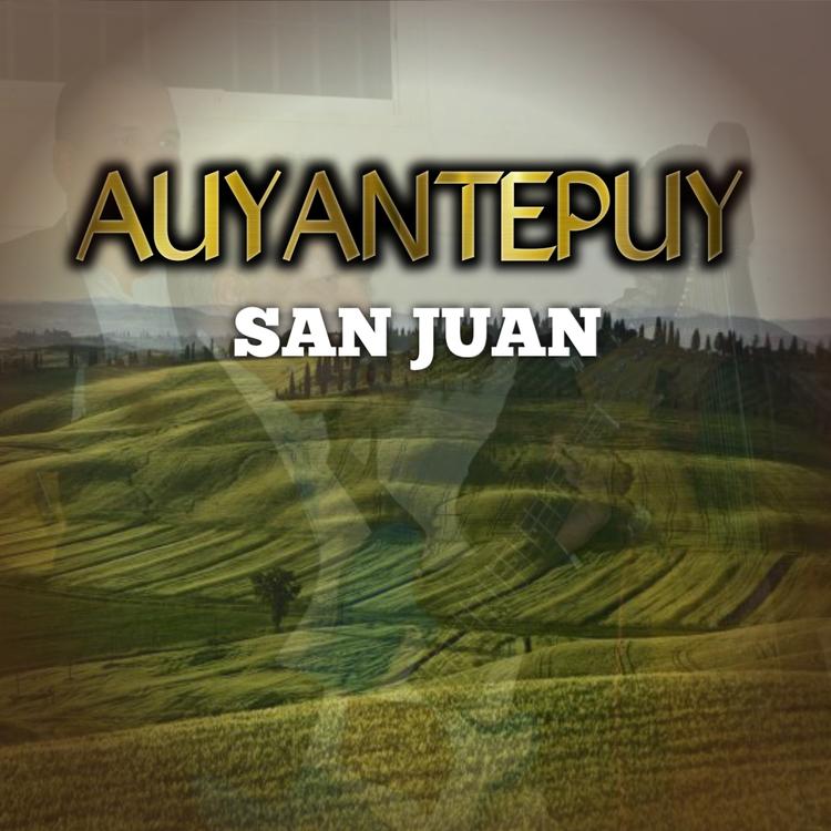 Grupo Auyantepuy's avatar image