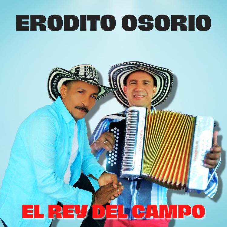 Erodito Osorio's avatar image