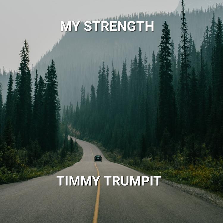 Timmy Trumpit's avatar image