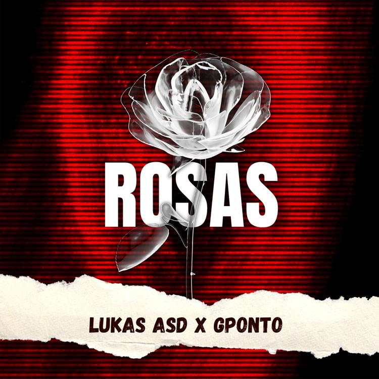 Lukas ASD's avatar image