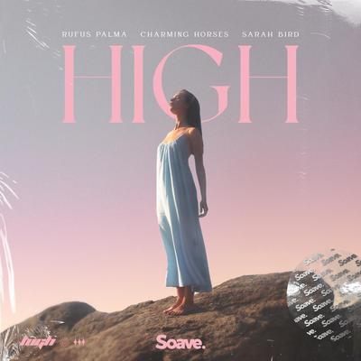 High By Rufus Palma, Charming Horses, Sarah Bird's cover