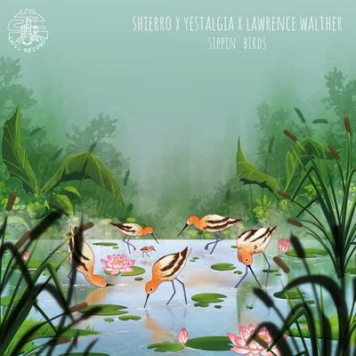 Sippin' Birds By Shierro, Yestalgia, Lawrence Walther's cover