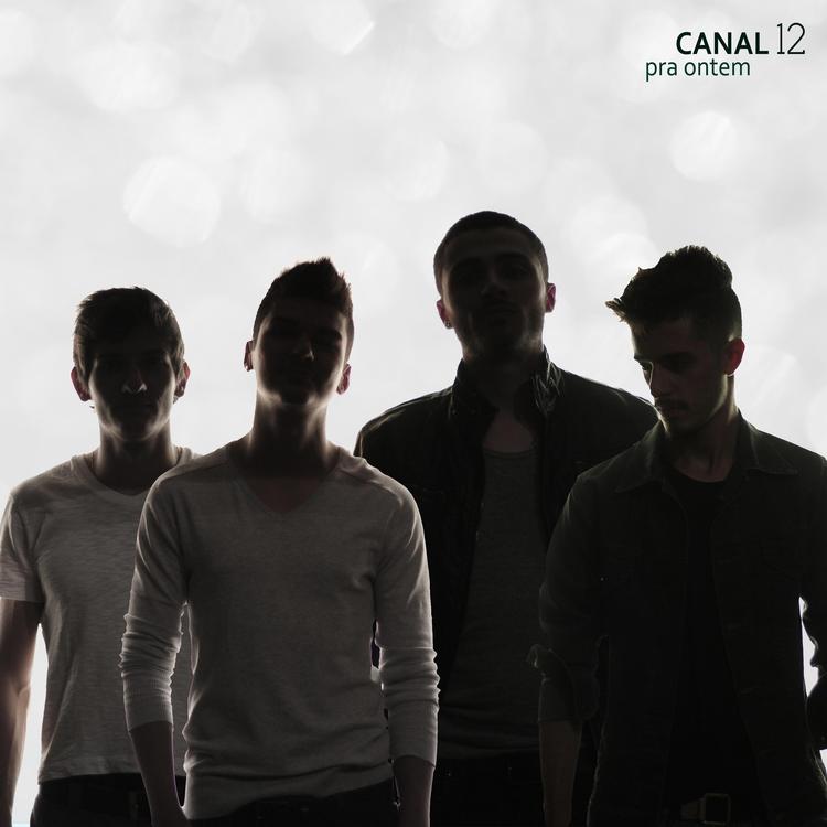 Canal 12's avatar image