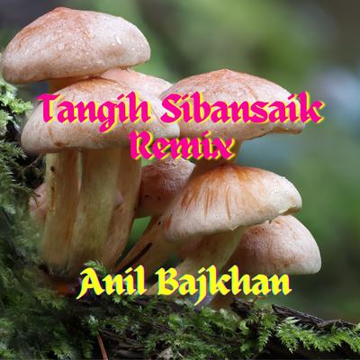 Tangih Sibansaik Remix's cover