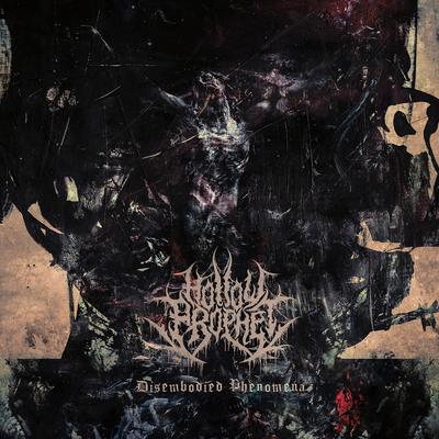 Disembodied Phenomena By Hollow Prophet's cover