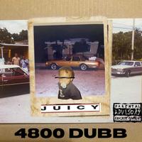 4800Dubb's avatar cover