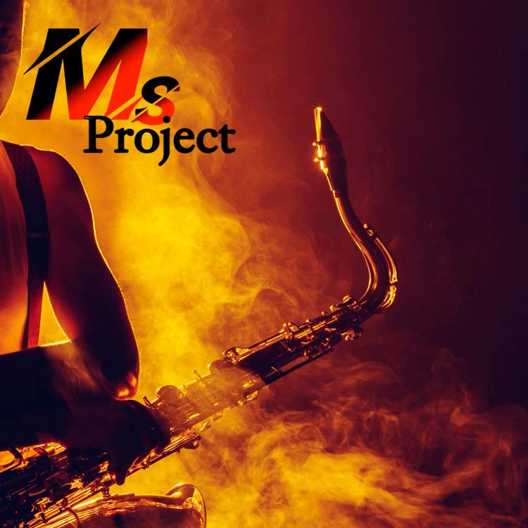 M.S PROJECT's avatar image