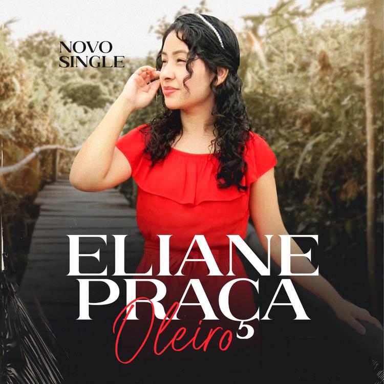 Eliane A. Praça's avatar image