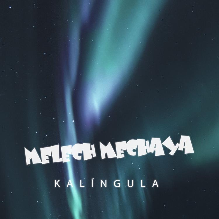 Melech Mechaya's avatar image