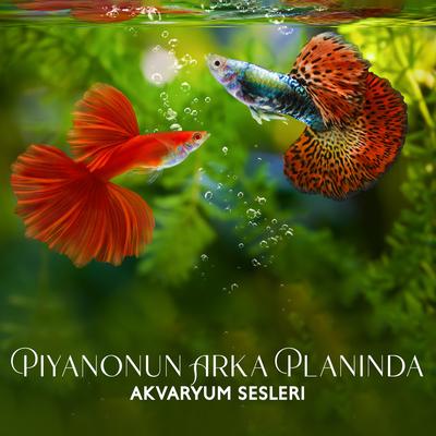 Sihir (Piyano)'s cover