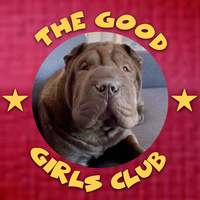 Wednesday Addams The Shar-Pei's avatar cover